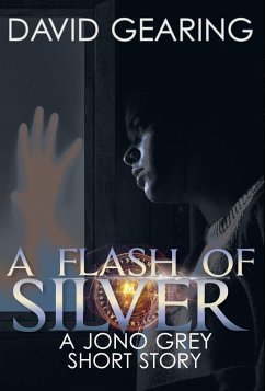 Cover A Flash of Silver: A Jono Grey Short Story (eBook, ePUB)