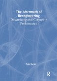 The Aftermath of Reengineering (eBook, PDF)