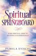 Spiritual Springboard - Bild 1