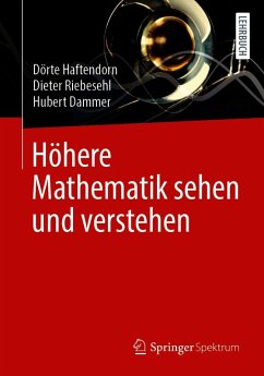 Höhere Mathematik sehen und verstehen (eBook, PDF) - Haftendorn, Dörte; Riebesehl, Dieter; Dammer, Hubert