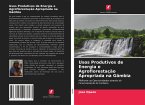 Usos Produtivos de Energia e Agroflorestação Apropriada na Gâmbia