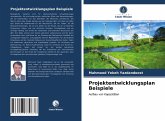 Projektentwicklungsplan Beispiele