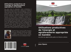 Utilisations productives de l'énergie et agroforesterie appropriée en Gambie - Opazo, Jose