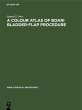 A Colour Atlas of Boari Bladder-Flap... - Bild 1