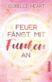 Feuer fängt mit Funken an (eBook, ePUB)