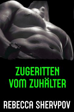 Zugeritten vom Zuhälter (eBook, ePUB) - Sherypov, Rebecca