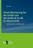 Umstrukturierung bei der GmbH und der GmbH & Co. KG im Steuerrecht (eBook, PDF)