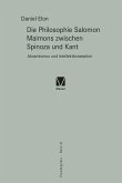 Die Philosophie Salomon Maimons zwischen Spinoza und Kant (eBook, PDF)