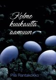 Kolme kuukautta aamuun (eBook, ePUB)