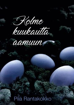 Kolme kuukautta aamuun (eBook, ePUB) - Rantakokko, Piia