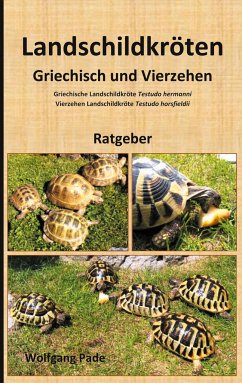 Landschildkröten Griechisch und Vierzehen - Pade, Wolfgang