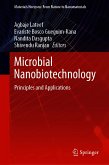 Microbial Nanobiotechnology (eBook, PDF)