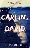 Carlin, David (eBook, ePUB)