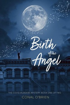 Cover Birth of the Angel (eBook, ePUB)