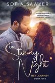 One Stormy Night (Her Journey, #1) (eBook, ePUB)