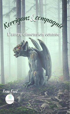 Korrigans et compagnie (eBook, ePUB) - Fool, Tom