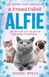 A Friend Called Alfie - Bild 1