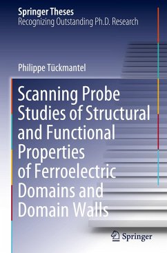 Scanning Probe Studies of Structural and Functional Properties of Ferroelectric Domains and Domain Walls - Tückmantel, Philippe