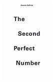 The Second Perfect Number