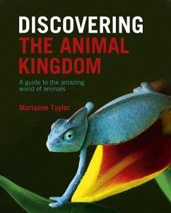 Discovering the Animal Kingdom - Taylor, Marianne