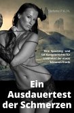 Ein Ausdauertest der Schmerzen (eBook, ePUB)