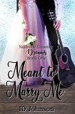 Meant to Marry Me: Nashville County Dreams Book 1 (eBook, ePUB)