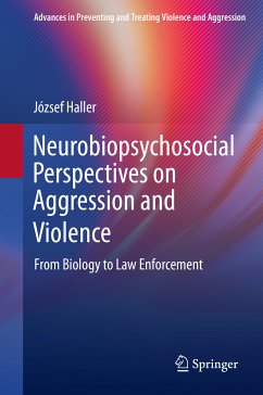 Neurobiopsychosocial Perspectives on Aggression and Violence (eBook, PDF) - Haller, József