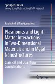 Plasmonics and Light¿Matter Interactions in Two-Dimensional Materials and in Metal Nanostructures