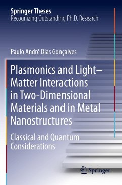 Plasmonics and Light¿Matter Interactions in Two-Dimensional Materials and in Metal Nanostructures - Gonçalves, Paulo André Dias