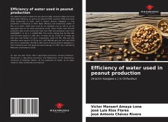 Efficiency of water used in peanut production - Amaya Lona, Víctor Manuerl; Ríos Flores, José Luis; Chávez Rivero, José Antonio