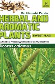 HERBAL AND AROMATIC PLANTS - 34. Acorus calamus (Sweet Flag)