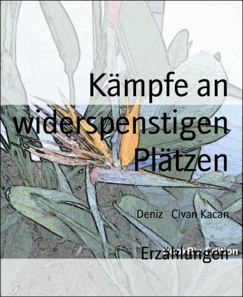 Kämpfe an widerspenstigen Plätzen (eBook, ePUB)