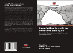 Liquéfaction des sols en conditions sismiques - Rios, Sara;Viana da Fonseca, António;Millen, Maxim