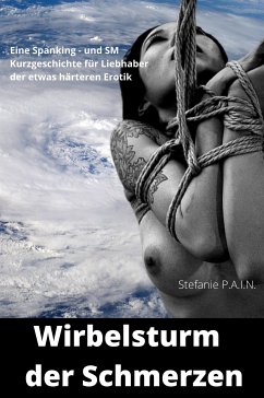 Wirbelsturm der Schmerzen (eBook, ePUB) - P.A.I.N., Stefanie