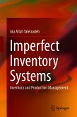 Imperfect Inventory Systems (eBook, PDF)