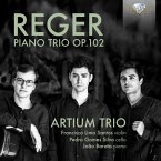 Reger:Piano Trio Op.102