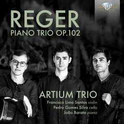 Reger:Piano Trio Op.102 - Diverse