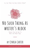 No Such Thing As Writer's Block: Twelve Tips On How To Beat The Blank Page (eBook, ePUB) No Such Thing As Writer's Block: Twelve Tips On How To Beat The Blank Page (eBook, ePUB)