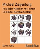 Paralleles Arbeiten mit einem Computer Algebra System (eBook, ePUB)