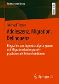 Adoleszenz, Migration, Delinquenz (eBook, PDF)