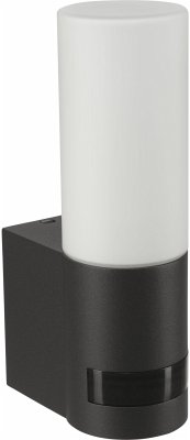 Cover Steinel L605 ANT Aussenleuchte