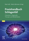 Praxishandbuch Schlaganfall (eBook, ePUB)