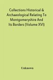 Collections Historical & Archaeological Relating To Montgomeryshire And Its Borders (Volume Xvi)