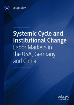 Systemic Cycle and Institutional Change (eBook, PDF) - Lučev, Josip