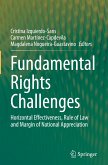 Fundamental Rights Challenges