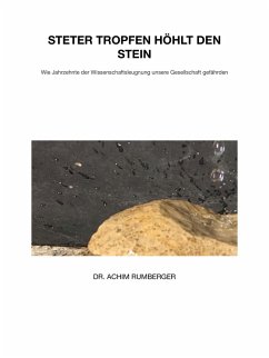 Steter Tropfen höhlt den Stein (eBook, ePUB) - Rumberger, Achim