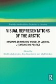 Visual Representations of the Arctic (eBook, ePUB)