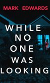 While No One Was Looking (eBook, ePUB)