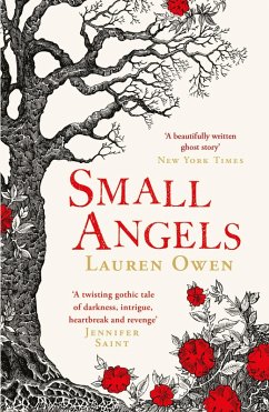 Cover Small Angels (eBook, ePUB)