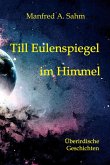 Till Eulenspiegel im Himmel (eBook, ePUB)